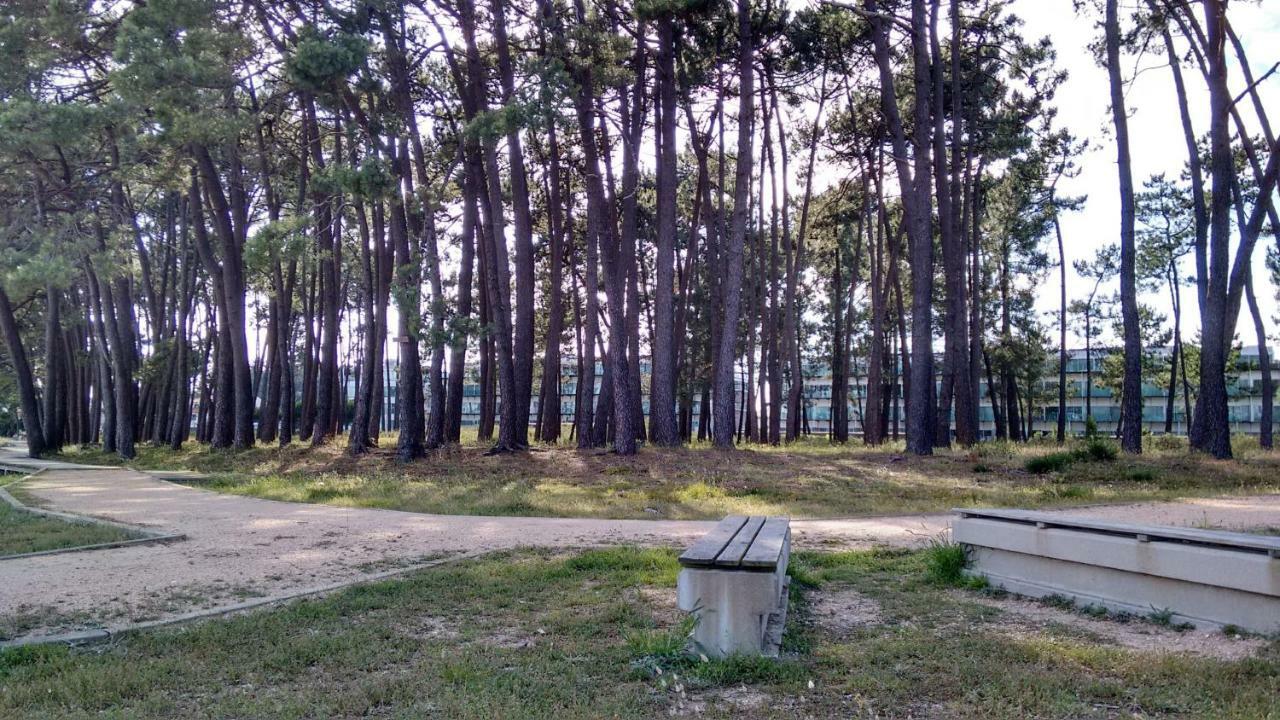 Apartamento Playa イスラ・デ・アローサ エクステリア 写真